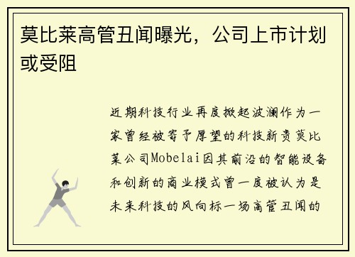 莫比莱高管丑闻曝光，公司上市计划或受阻